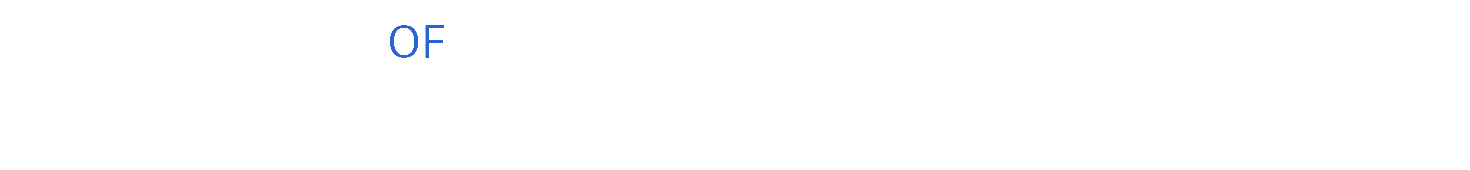 Law Office of Elizabeth Forgotson Goldberg